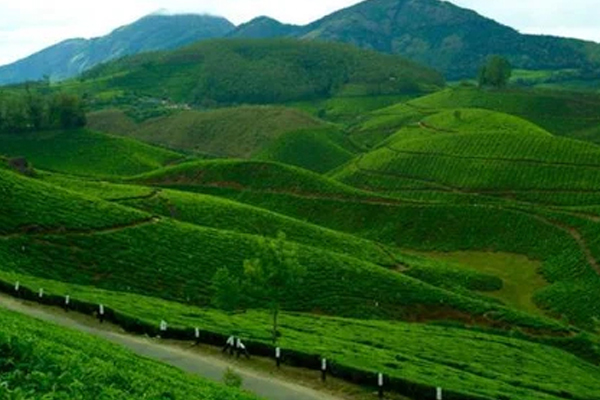 Munnar